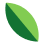 gleaf-dual-tone